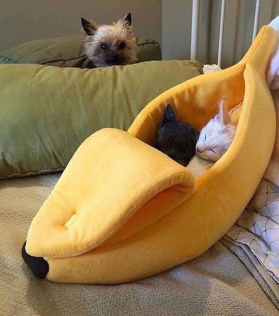 Lit banane mignon pour chat 🐈