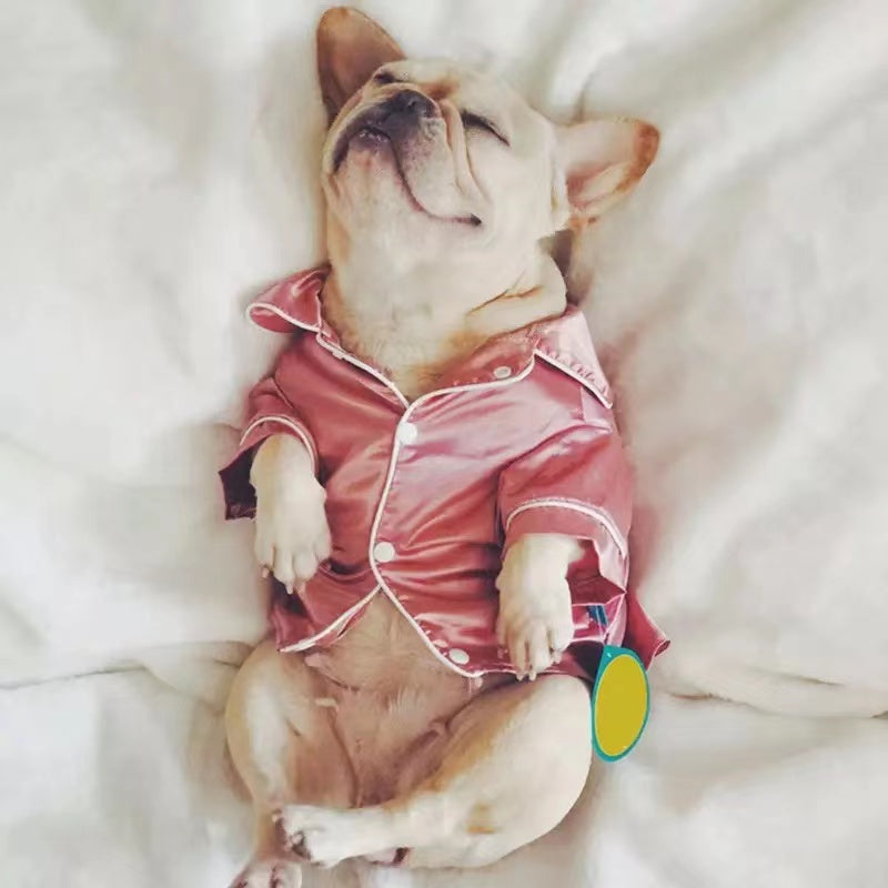 Pyjama pour animaux de compagnie