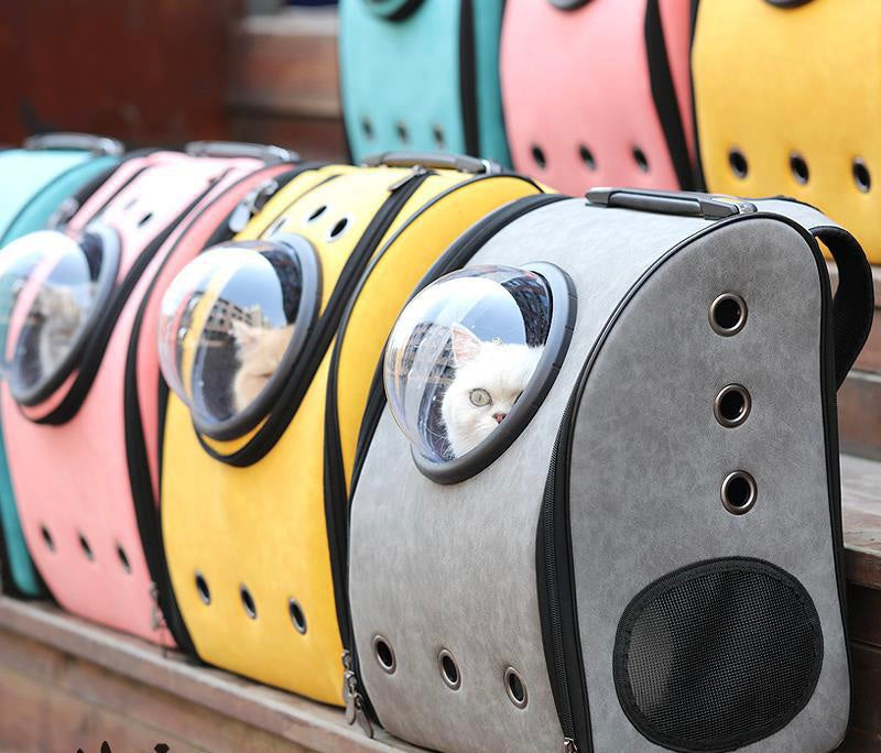 Sac à dos pour chats et chiens