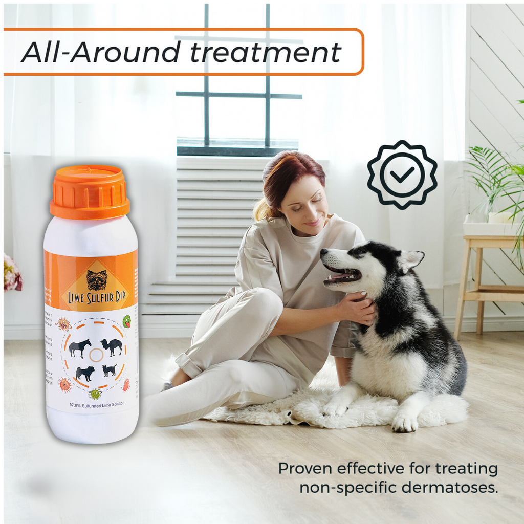 Combo soins de la peau et du pelage - Dip au soufre de citron vert et shampooing pour chien au soufre