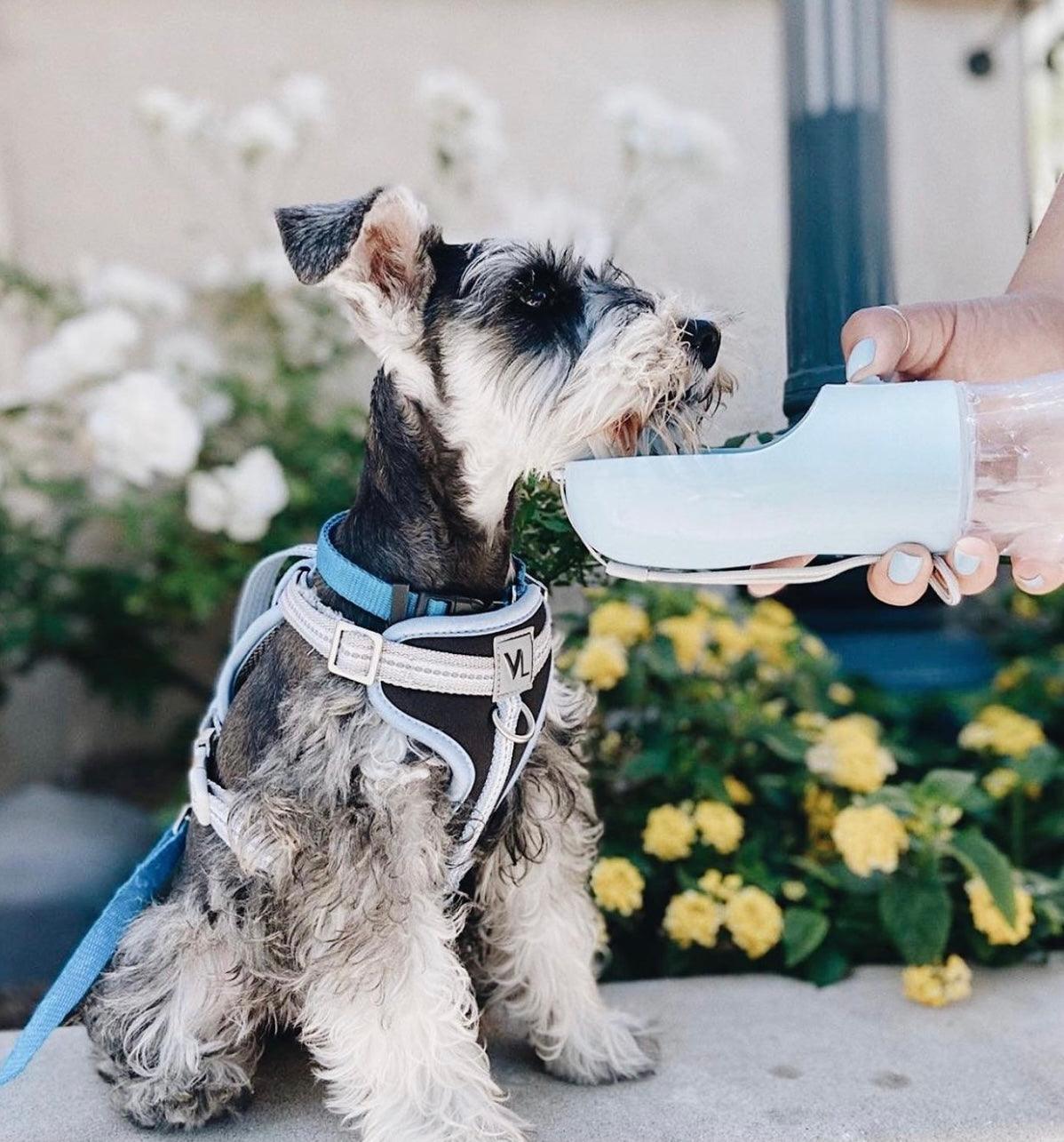 MANGEOIRE PORTABLE POUR ANIMAUX DE COMPAGNIE 2 EN 1