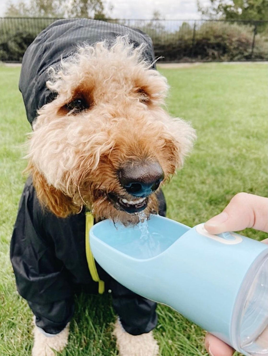 MANGEOIRE PORTABLE POUR ANIMAUX DE COMPAGNIE 2 EN 1