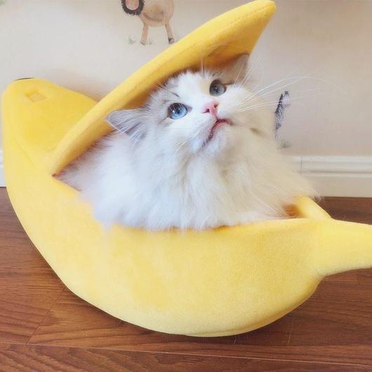Lit banane mignon pour chat 🐈