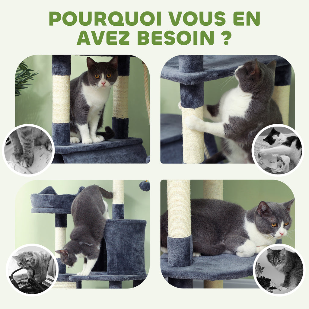Arbre à chat 🐈‍⬛ 🌲