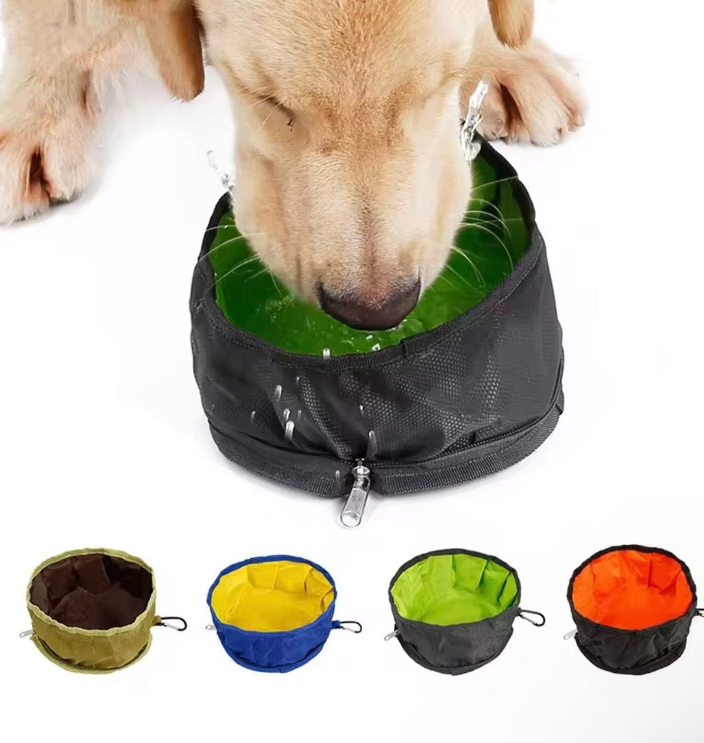 Bol de mangeoire pour chien Bol pliable pour animaux de compagnie