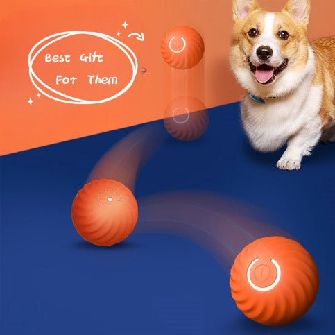 Jouets à balles en caoutchouc durables pour chiens