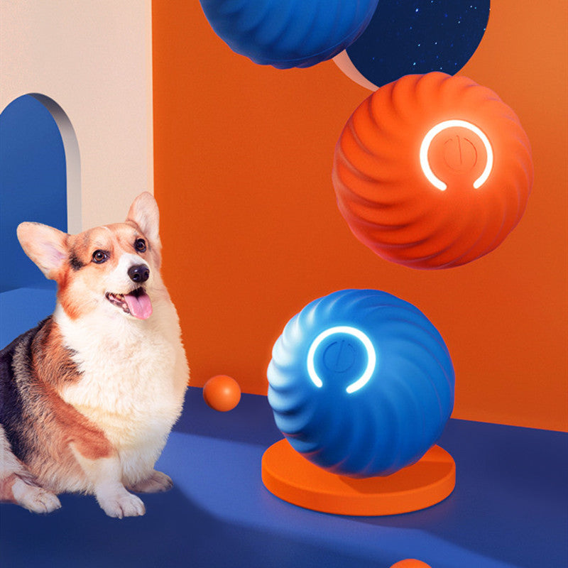 Jouets à balles en caoutchouc durables pour chiens