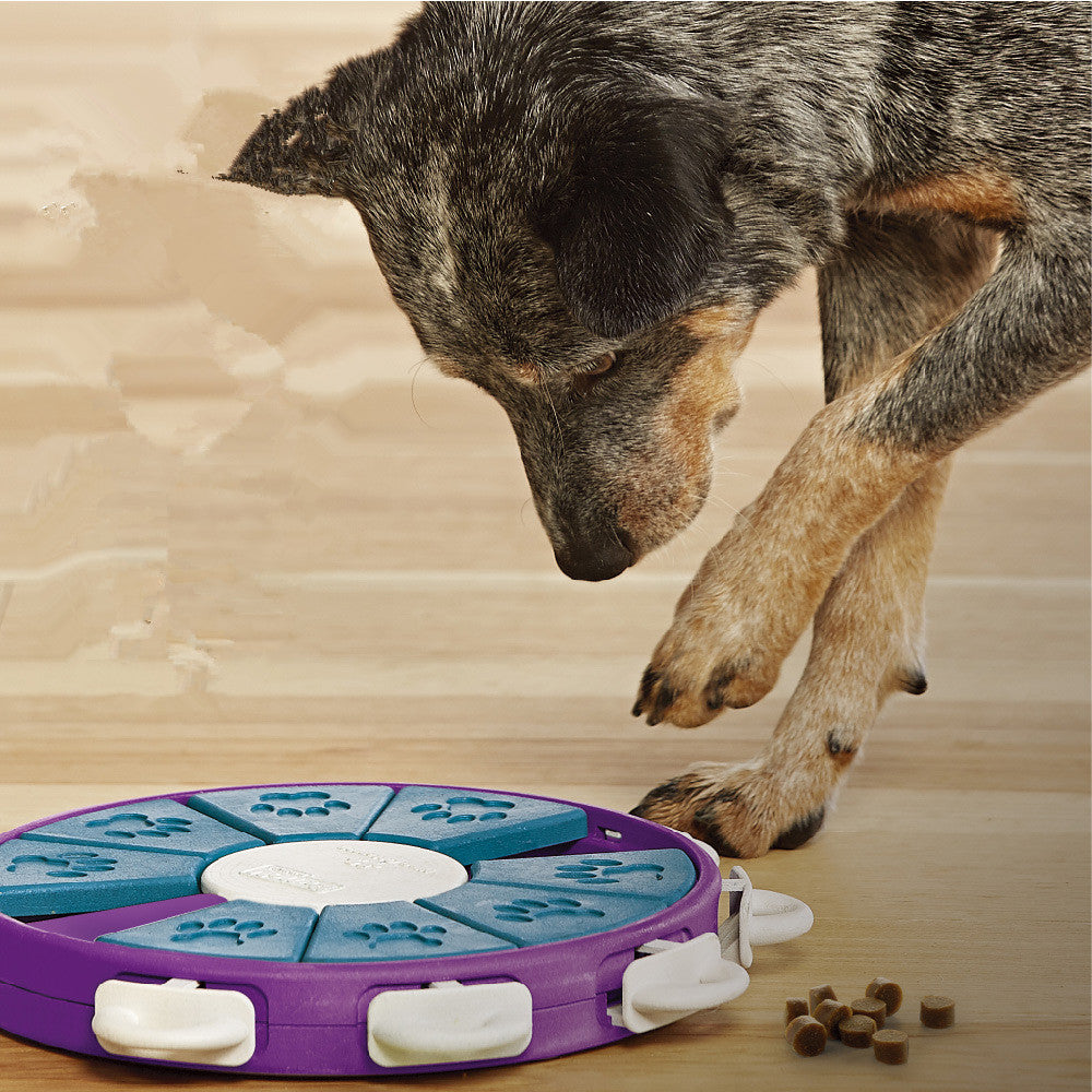 Jouets d'apprentissage pour chiens engageants