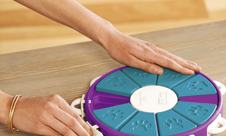 Jouets d'apprentissage pour chiens engageants