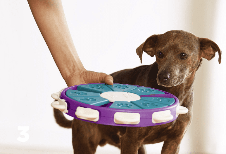 Jouets d'apprentissage pour chiens engageants
