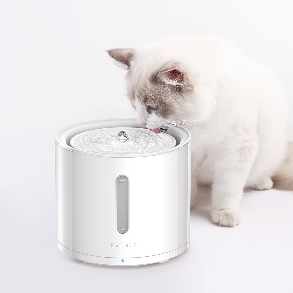 Fontaine d’eau pour animaux de compagnie EverSweet Solo 2