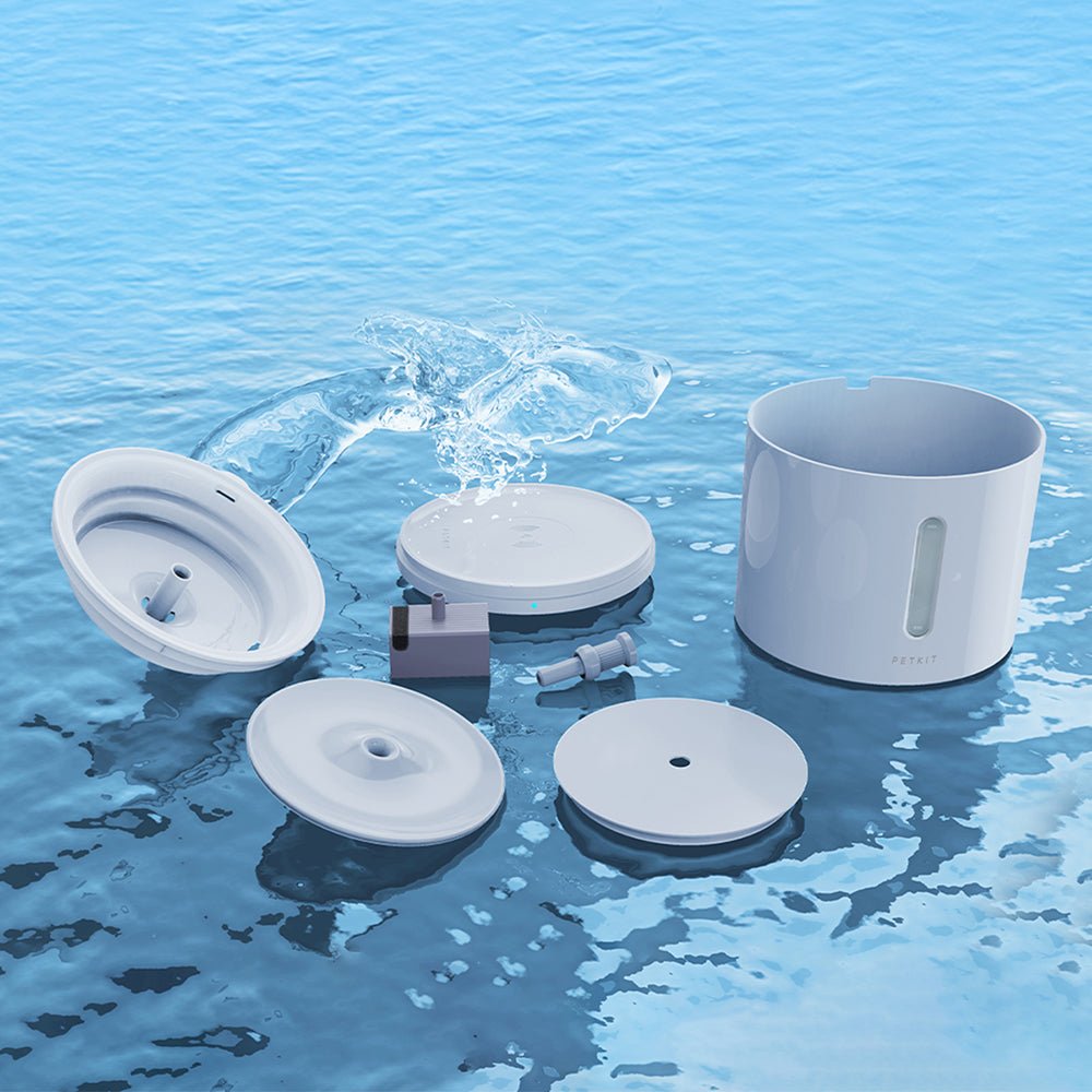 Fontaine d’eau pour animaux de compagnie EverSweet Solo 2