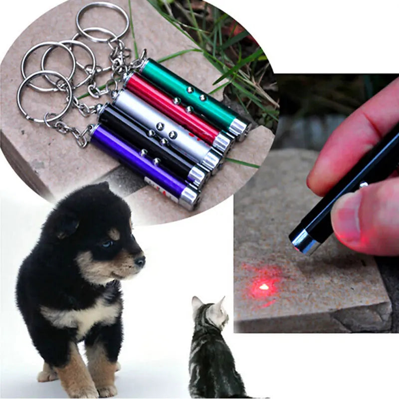 Jouets interactifs à pointeur laser LED pour chats 🐈‍⬛