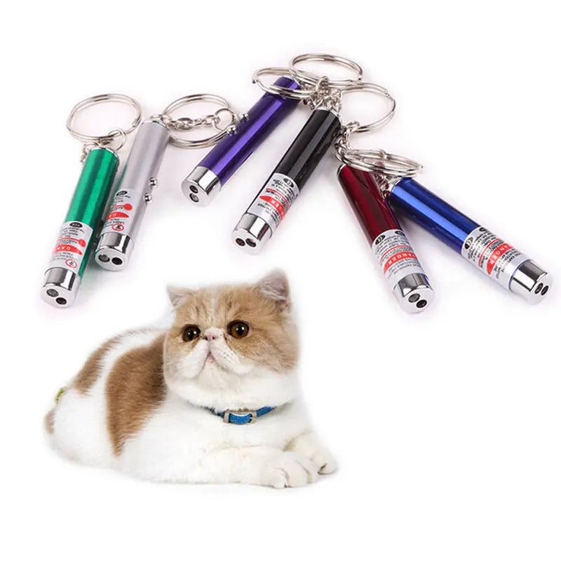 Jouets interactifs à pointeur laser LED pour chats 🐈‍⬛