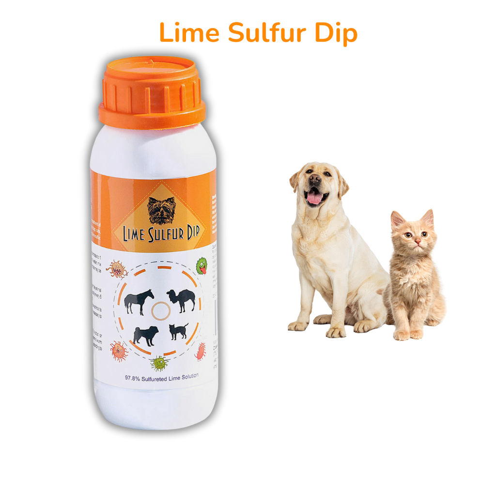 Combo soins de la peau et du pelage - Dip au soufre de citron vert et shampooing pour chien au soufre