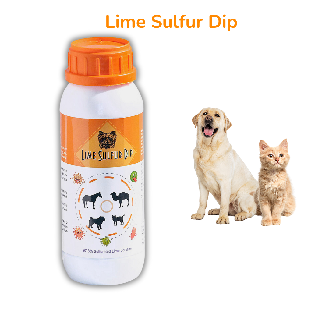 Combo soins de la peau et du pelage - Dip au soufre de citron vert et shampooing pour chien au soufre