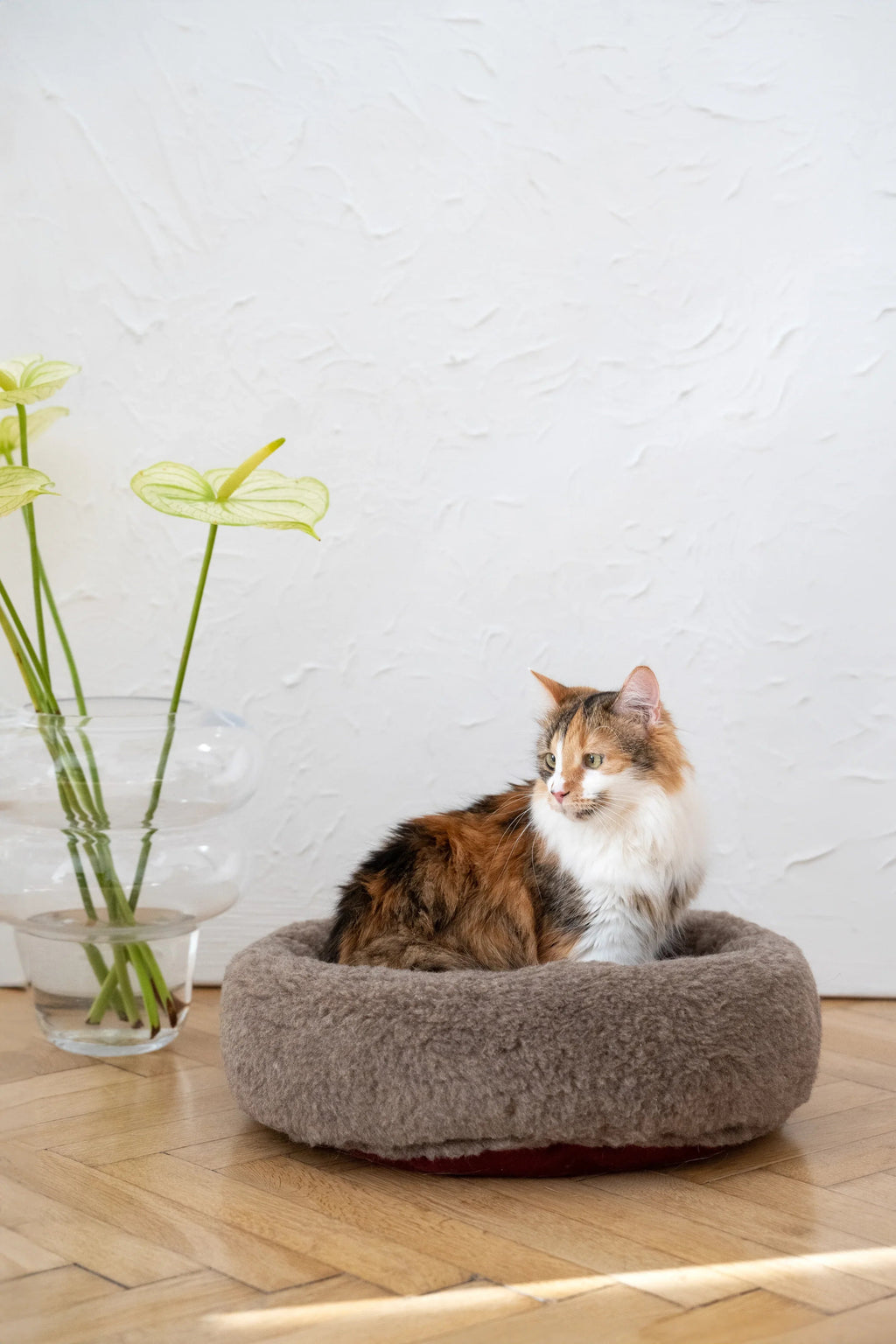 Lit rond pour animaux de compagnie en laine naturelle- Beige