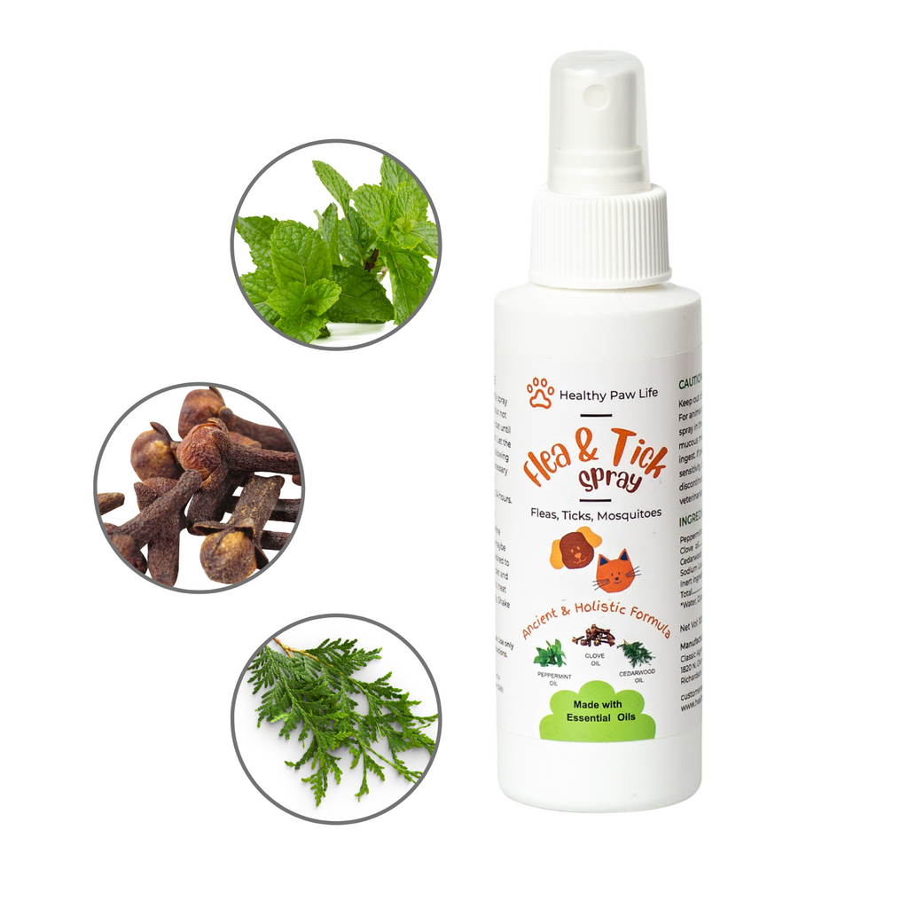 Spray anti-puces, tiques et anti-moustiques pour animaux de compagnie. 🐱🐶