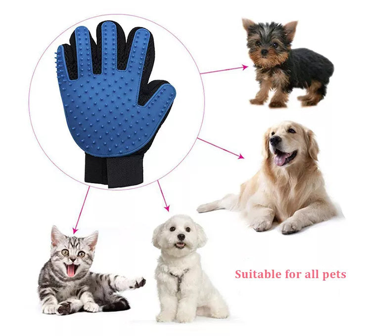Gants de toilettage pour animaux de compagnie
