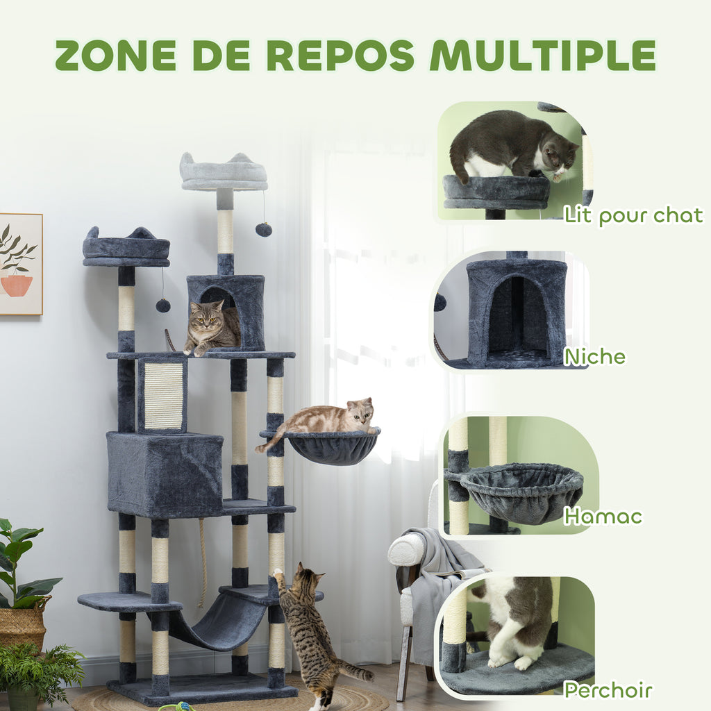 Arbre à chat 🐈‍⬛ 🌲