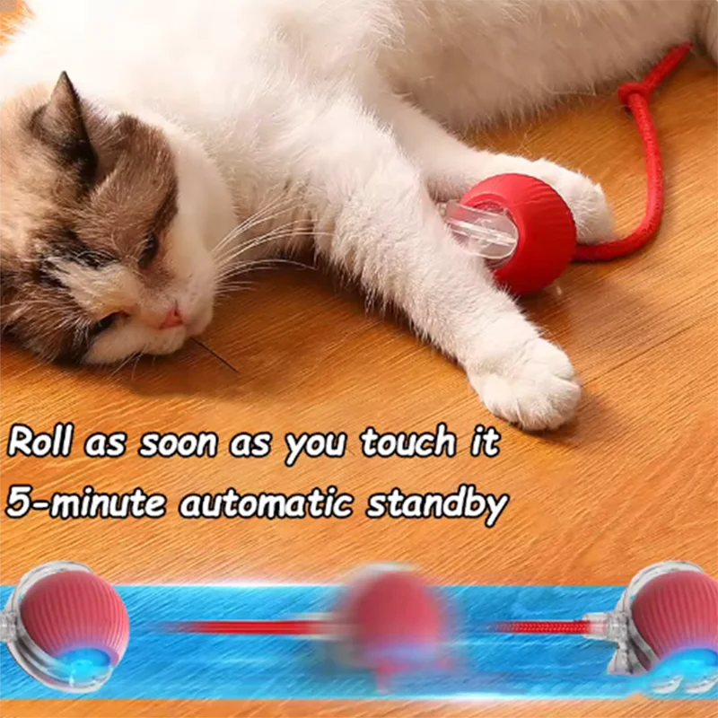 Jouets électrique pour chats 🐈