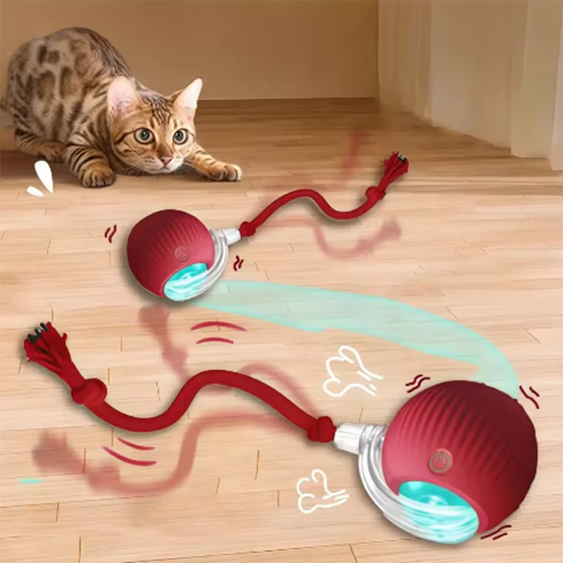Jouets électrique pour chats 🐈