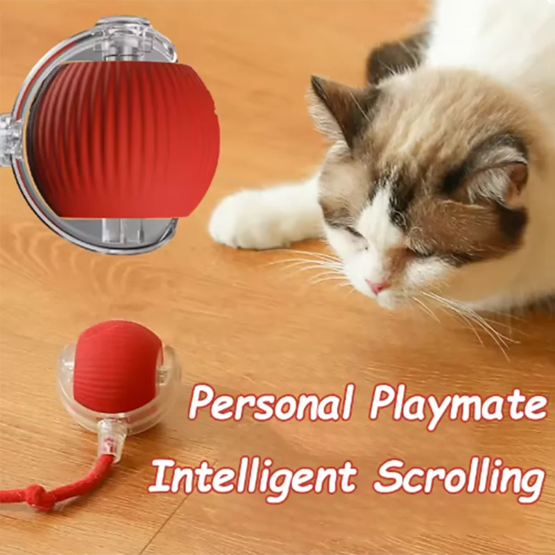 Jouets électrique pour chats 🐈