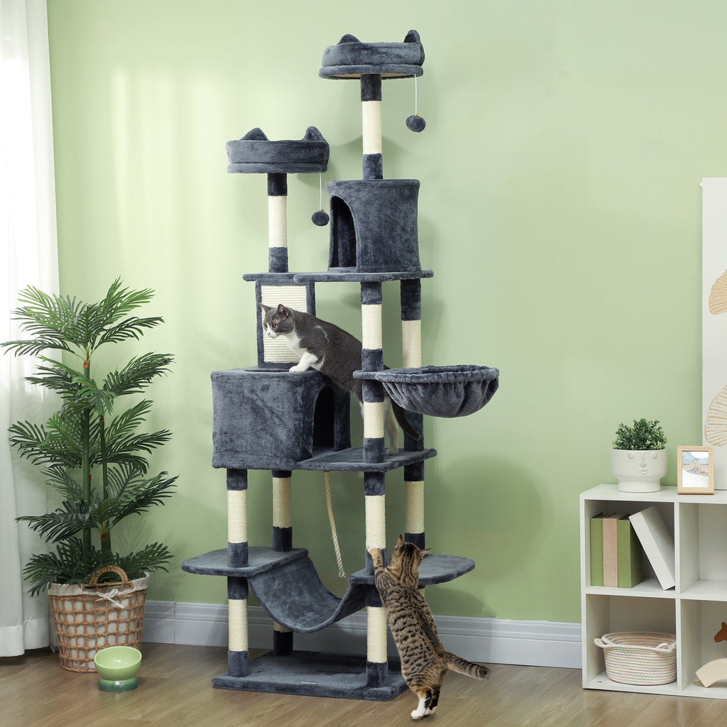 Arbre à chat 🐈‍⬛ 🌲