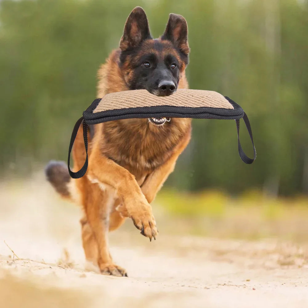 Jouets à mâcher pour chats et chiens