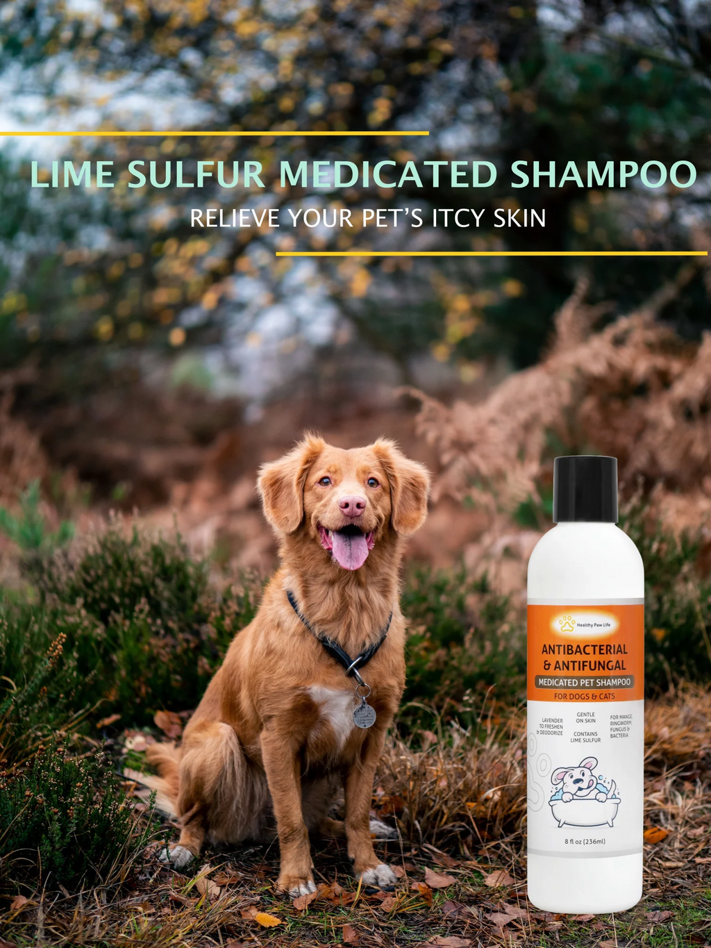 Shampooing pour animaux de compagnie au soufre de citron vert