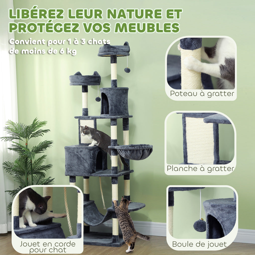 Arbre à chat 🐈‍⬛ 🌲