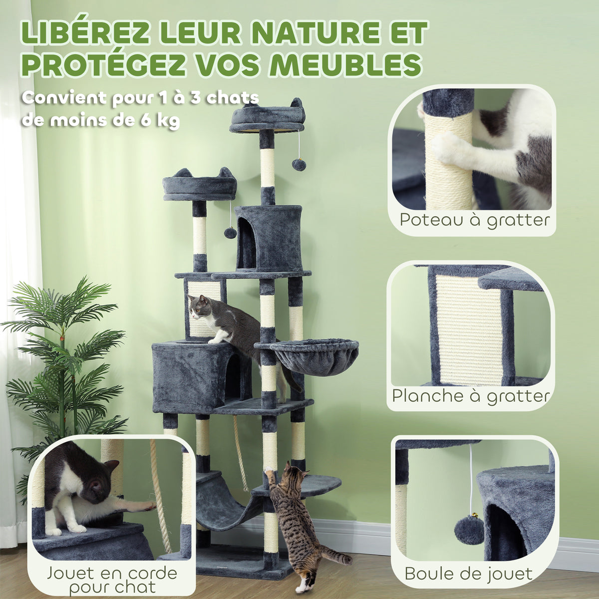 Arbre à chat 🐈‍⬛ 🌲