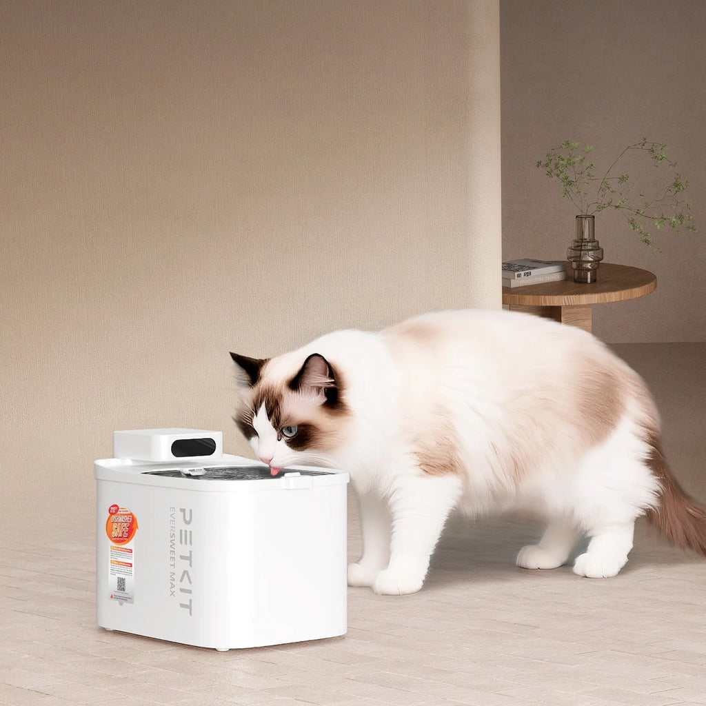 Fontaine à eau sans fil EverSweet Max 2 | Cordless Pet Fountain
