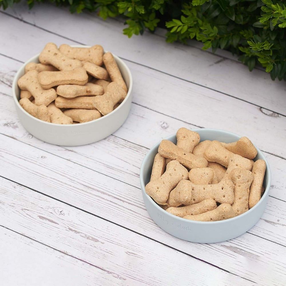 Bols pour animaux de compagnie