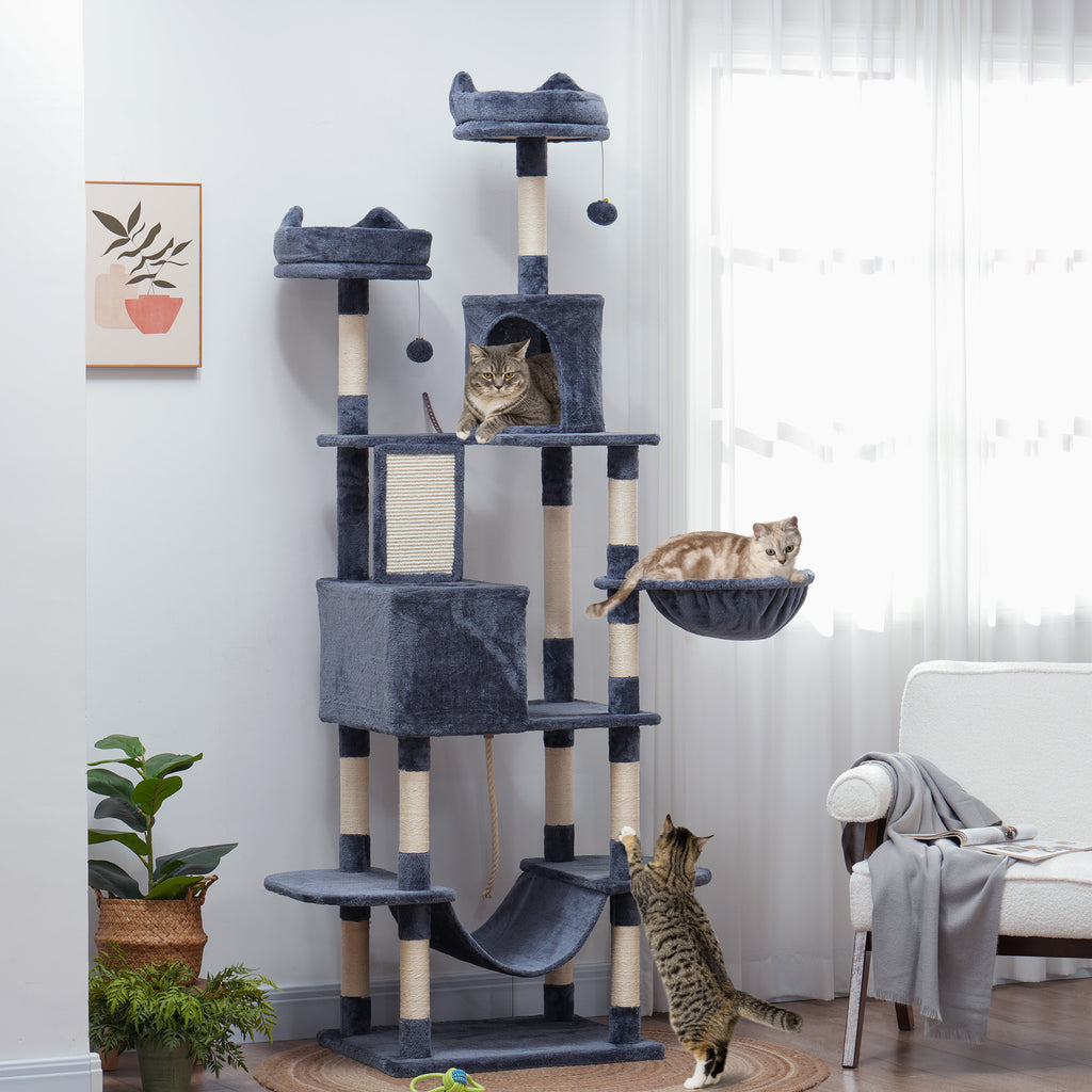 Arbre à chat 🐈‍⬛ 🌲